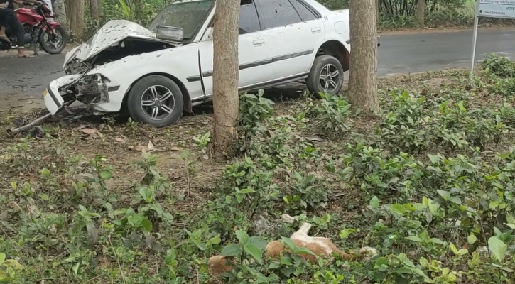 গাছের সঙ্গে প্রাইভেটকারের ধাক্কায় প্রাণ গেল চালকের